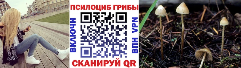 Галлюциногенные грибы мицелий  ссылка на мегу онион  Трёхгорный 